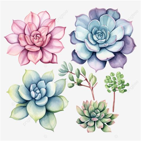 Watercolor Succulet Clip Art Watercolor Cactus House Png Transparent