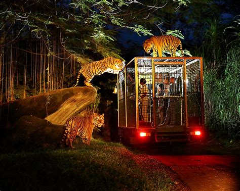 Night Safari Singapore With Tram Ride Singapore Central Water