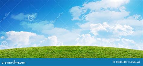 Spring Green Grass Field Landscape And Blue Sky Background Stock Image Image Of Pasture