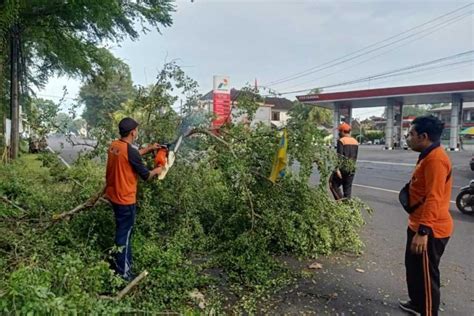 BPBD Gerak Cepat Tangani Pohon Tumbang Pasca Nyepi BALIPOST