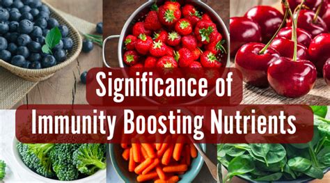 Significance Of Immunity Boosting Nutrients Nutritionist Nanny