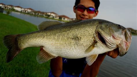 Catching Massive Bass On Blow Up Kayaks Youtube