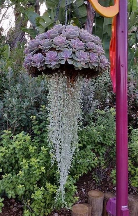 Garden Ideas Hanging Baskets - Resipes my Familly