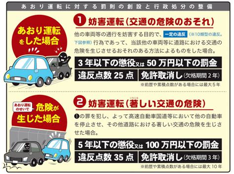 あおり運転厳罰化【マナー違反に年齢性別関係無し！】 在宅介護16年の闘い。