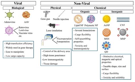 Representation Of Viral And Non Viral Delivery Systems Aav