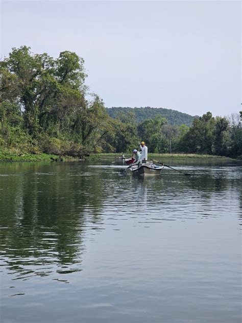 Provo Flys And Guides Largest Selection Of Flies In Arkansas