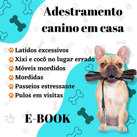 Adestramento Canino Em Casa