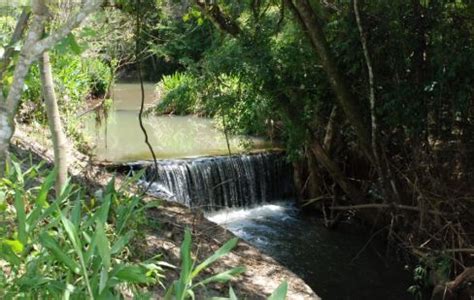 Est Ncia Gua Viva Londrinatur Portal De Londrina E Norte Do Paran