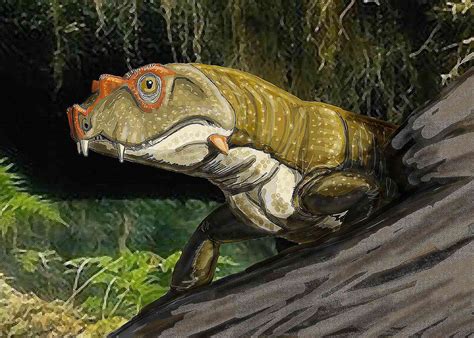 The First Reptiles And Their Evolution