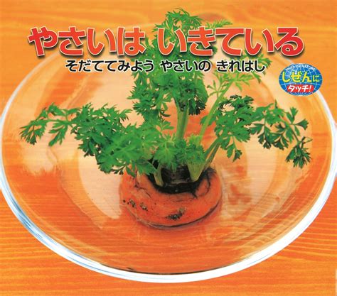 楽天ブックス やさいはいきている そだててみようやさいのきれはし 藤田 智 9784893250636 本