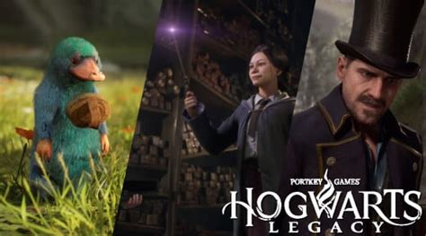 Hogwarts Legacy Arpéu Onde Capturar Cor Versão Brilhante E Tudo