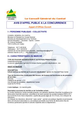 Remplissable En Ligne Avis D Appel Public A La Concurrence Conseil G