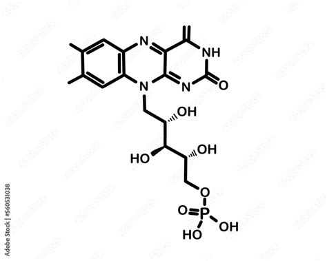 Chemical formula of flavin mononucleotide. Vector illustration Stock ...