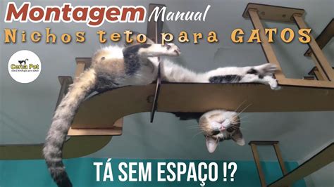 Moveis para gatos de teto personalizados gatificação de ambientes