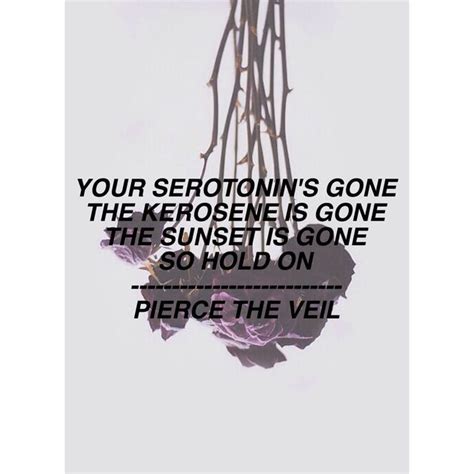 The Divine Zero Misadventures Band Quotes Pierce The Veil Lyrics