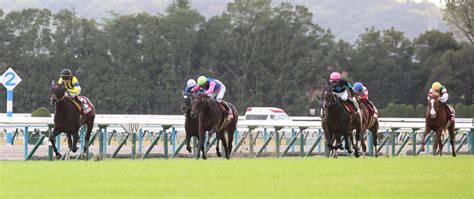 ジャンタルマンタル重賞初v 高いセンスと非凡な瞬発力披露／デイリー杯2歳s 2歳馬特集 競馬写真ニュース 日刊スポーツ