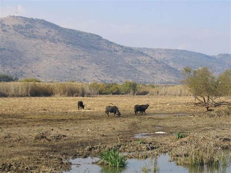 Israel Nature and Parks Authority - Alchetron, the free social encyclopedia