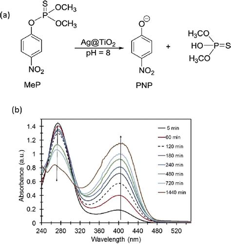 A Hydrolysis Of Methyl Parathion Using Core Shell Agtio 2 B