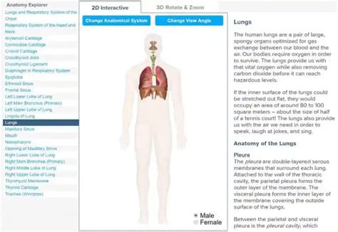 Respiratory System Lesson Plan A Complete 5e Method Science Unit