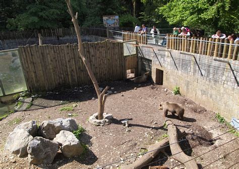 Fileljubljana Zoo Bear Cage Wikimedia Commons