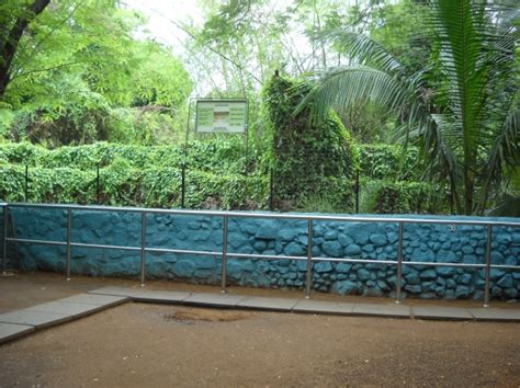 Inside Guindy National Park Chennai Veethi