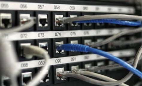 Why Network Cabling Is Essential For Any Business