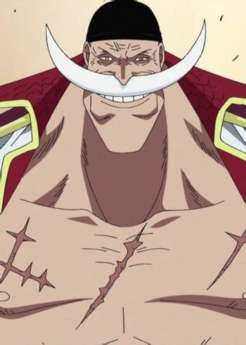 Whitebeard | Anime-Planet