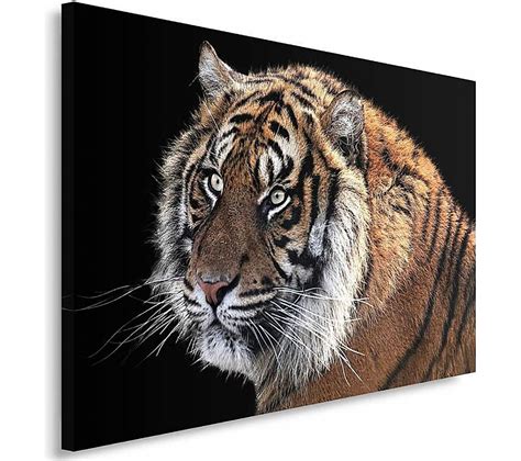 Tableau Tigre X Cm Marron