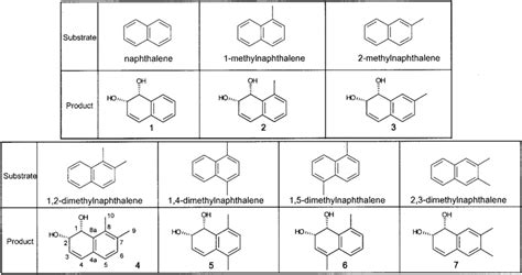 Structures Of Products Converted From Naphthalene And Di Methylated Download Scientific