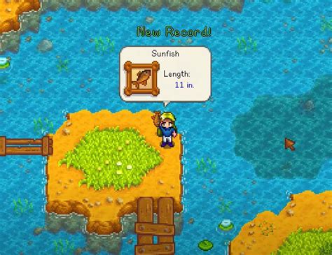 Sunfish in Stardew Valley: All You Need To Know [2023]