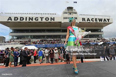 273 New Zealand Cup 2012 Nz Trotting Cup Stock Photos, High-Res ...