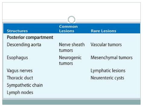 Approach To Diseases Of Pleura And Mediastinum Ppt