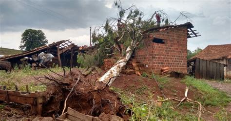 G Chuva Causa Estragos Em Cidades E Danifica Quase Mil Casas No