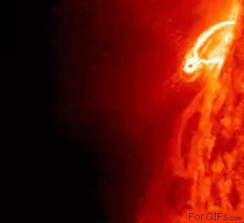 Sun Astronomy GIF - Find & Share on GIPHY