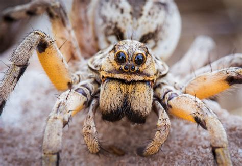 Selon Une Tude Vivre En Bord De Mer Serait Bon Pour La Sant