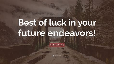 C M Punk Quote “best Of Luck In Your Future Endeavors ”