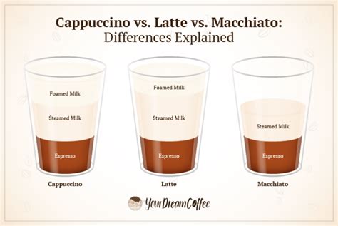 Cappuccino Vs Latte Vs Macchiato Differences Explained