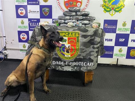 Mulher é presa 14kg de pasta base avaliados em R 735 mil droga