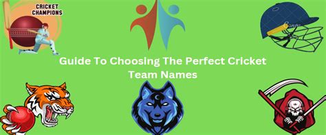 Comprehensive Guide To Choosing Perfect Cricket Team Name