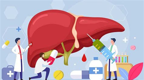 Kidney and Liver Function in Acne Treatment - Nancy Vandal