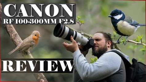 Canon Rf Mm F L Is Usm Lens Review The Ultimate Telephoto