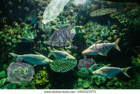 6,410 Coral Reef Pollution Images, Stock Photos & Vectors | Shutterstock