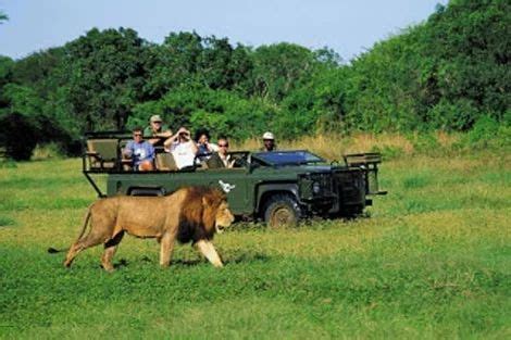 South African Safari Tour Package in Jalandhar | ID: 13432435262