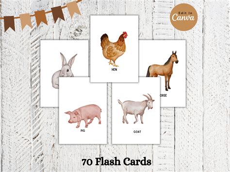 70 Animal Flash Cards for Kids Flash Card Templates Canva - Etsy