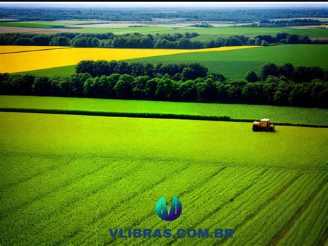 Melhores Livros Sobre Agricultura Para Expandir Seus Conhecimentos