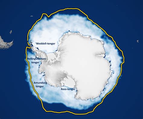 La Banquise Antarctique Est Un Niveau Record Nouvelles Du Monde