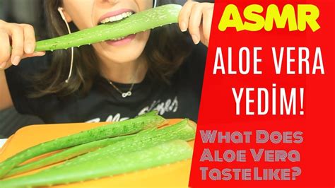 Türkçe ASMR ALOE VERA NIN TADI NASIL What Does Aloe Vera Taste