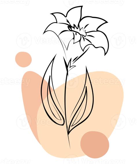 Decoração De Flores Png Com Fundo Transparente Para Impressão Em