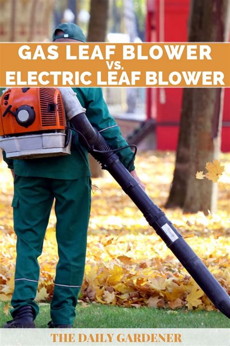 Gas Vs Electric Leaf Blower Which Is Right For You