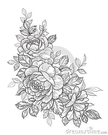 Hand Drawn Monochrome Rose Bud With Leaves Cartoon Vector